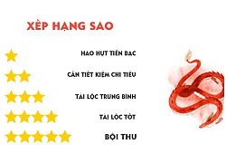 Tử vi hôm nay (29/9) về tài chính của 12 con giáp: Tuổi Thìn kém may, tuổi Tuất 'son' đủ đường