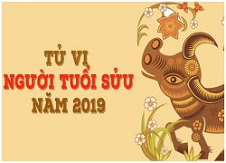 Tử vi năm 2019 tuổi Sửu: Vạn sự khởi đầu nan, kiên trì hưởng quả ngọt