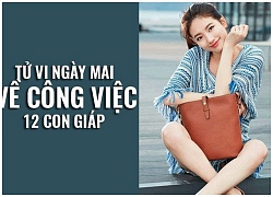 Tử vi ngày mai (28/9) về công việc của 12 con giáp: Tuổi Ngọ đột phá ý tưởng