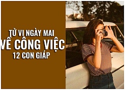 Tử vi ngày mai (29/9) về công việc của 12 con giáp: Tuổi Mùi cẩn thận tranh cãi với cộng sự