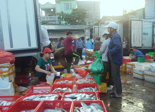 Xã hội đen 'trấn lột' ở chợ Long Biên, chuyên gia tội phạm học: 'Do lực lượng chức năng vô trách nhiệm'