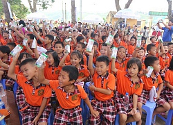 Hà Nội: Tạm lùi thời gian đấu thầu đề án sữa học đường