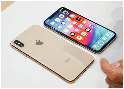 iPhone XS Max sắp về VN với giá 33 triệu đồng, iPhone X chính hãng giảm mạnh