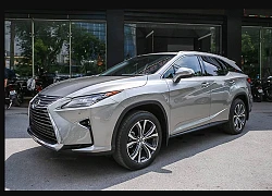 Lexus RX 350L 7 chỗ giá hơn 4 tỷ tại Việt Nam