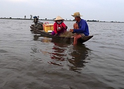 Miền Tây mùa lũ, đặt lọp cua, lưới cá linh, câu ếch đồng đều "hốt bạc"