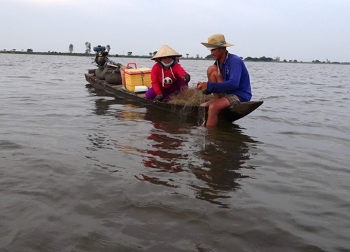 Miền Tây mùa lũ, đặt lọp cua, lưới cá linh, câu ếch đồng đều "hốt bạc"