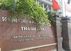 Phó giám đốc Sở ở Thanh Hoá xin thôi chức là ai?