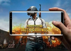 PUBG Mobile biến mất khỏi cửa hàng Google Play, làm sao để download lại game?