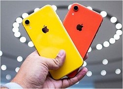 So sánh iPhone XR và iPhone 8: Đâu là sự khác biệt?