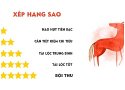 Tử vi hôm nay (2/10) về tài chính 12 con giáp: Tuổi Ngọ rất 'đỏ'