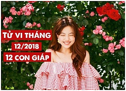 Tử vi tháng 12/2018 chi tiết của 12 con giáp