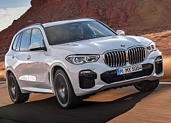 2019 BMW X5 hoàn toàn mới, sang trọng hơn