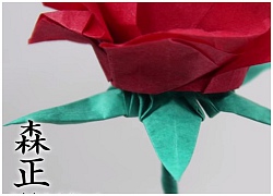 Cách gấp đài hoa hồng theo phong cách Origami