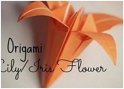 Cách gấp hoa ly Origami bằng giấy