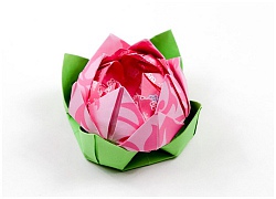 Cách gấp hoa sen giấy hồng theo phong cách Origami