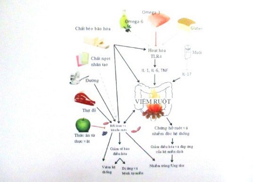 Cảnh báo kiểu ăn thúc đẩy mụn trứng cá, viêm da, ung thư