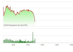 Chứng khoán sáng 5/10: Thị trường ngập sắc đỏ, VN-Index mất mốc 1020