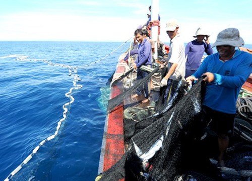 Để tàu cá đi đánh bắt trái phép ở vùng biển nước ngoài, kỷ luật người đứng đầu