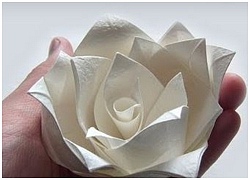 Gấp hoa hồng Origami bằng giấy ăn