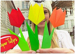 Gấp hoa tulip Origami