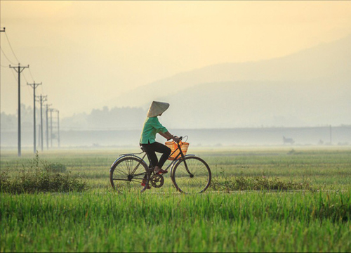 Lương thực tiếp tế của người mẹ chồng đạp xe 4km để đưa tận tay con dâu bầu - câu chuyện khiến chị em ấm lòng nhất hôm nay