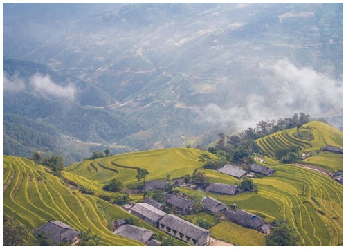 Ngỡ ngàng vẻ đẹp ruộng bậc thang Hoàng Su Phì mùa lúa chín