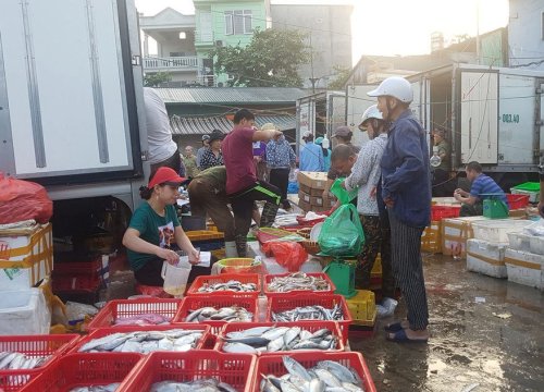 Sau nghi vấn "bảo kê" ở chợ Long Biên, xử lý 26 trường hợp vi phạm