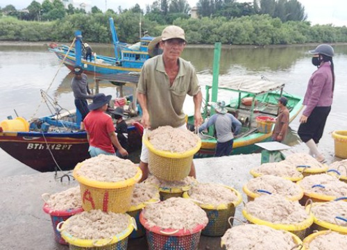 "Tổ đoàn kết khai thác" giúp ngư dân an tâm