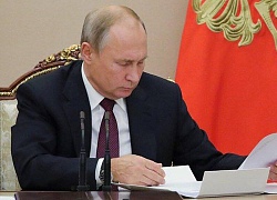 Tổng thống Putin: "Năm 2019 là năm Nga- Việt, Việt-Nga"