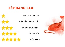 Tử vi hôm nay (5/10) về tài chính 12 con giáp: Tuổi Dần tiêu không hết tiền