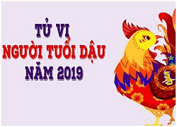 Tử vi năm 2019 tuổi Dậu: Thành công đến muộn đánh đổi bằng mồ hôi, nước mắt