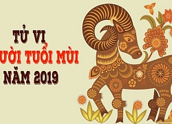 Tử vi năm 2019 tuổi Mùi: Sự nghiệp thăng hoa, tình cảm tụt dốc