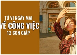 Tử vi ngày mai (6/10) về công việc của 12 con giáp: Tuổi Hợi hưng phấn quá đà