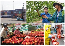 WB dự báo GDP Việt Nam năm 2018 tăng 6,8%