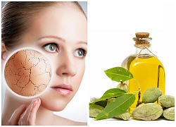 Cách trị da nứt nẻ bằng dầu oliu đơn giản mà hiệu quả