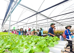 CEO VinEco: "Chúng tôi muốn thay đổi tư duy làm nông nghiệp người Việt"
