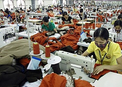Cổ phiếu cần quan tâm ngày 31/10