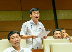 ĐBQH: 'Lợi ích nhóm, sân sau, công ty gia đình đang bộc lộ cần được nhận diện'