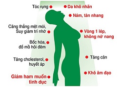 Estrogen giúp gì cho phụ nữ?