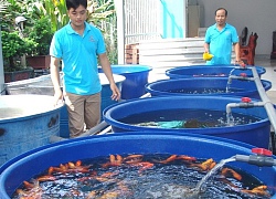 "Mái nhà, góc phố" giúp TP.HCM trình diện NNCNC trong 5 năm tới