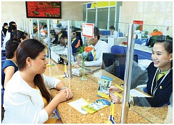 Ngân hàng nhỏ "ung dung" cán đích lợi nhuận