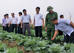 Ninh Bình: Nông dân thu lợi kép nhờ làm nông sản an toàn