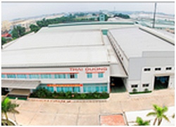 TDG liên tục dò đáy, các lãnh đạo Dầu khí Thái Dương đang tích cực gom hàng