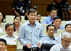 Viện trưởng VKSND Tối cao nói về việc chưa khởi tố vụ Thuận Phong