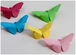 Cách gấp con bướm Origami bằng giấy cực đơn giản