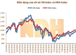 Nhận định thị trường ngày 8/10: 'Kiểm định vùng hỗ trợ 996-1003 điểm'