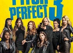 'Pitch Perfect 4' có thể trở lại vào thời gian tới!?