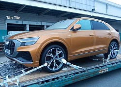 SUV hạng sang Audi Q8 2019 bất ngờ cập bến Việt Nam