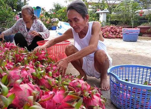 Trung Quốc quyết định đột ngột, vạn nông dân Việt khóc ròng