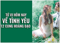 Tử vi hôm nay (6/10) về tình yêu của 12 cung hoàng đạo: Song Ngư buồn bã